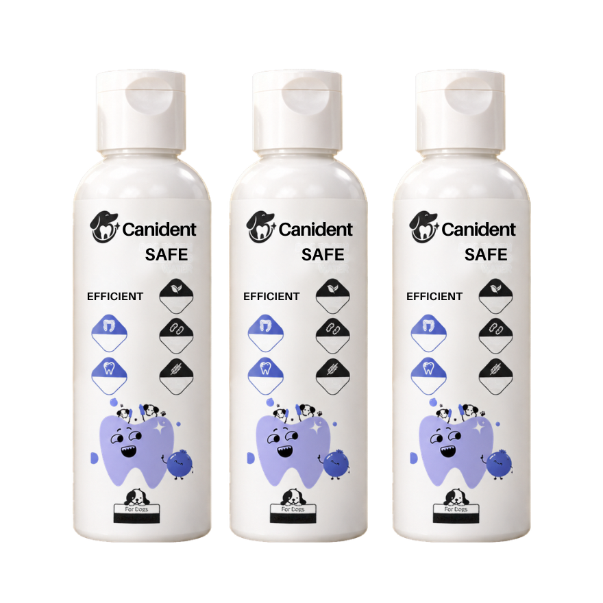 Canident
